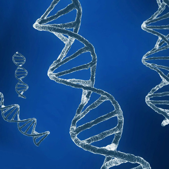 DNA sequencing RNA - 3Docean 31272520