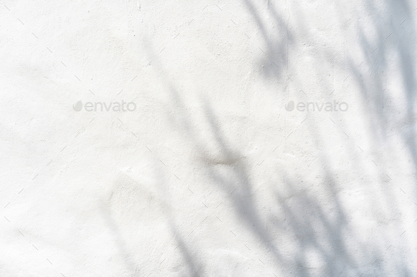 Shadow of plam leave on white cement wall background with copy space