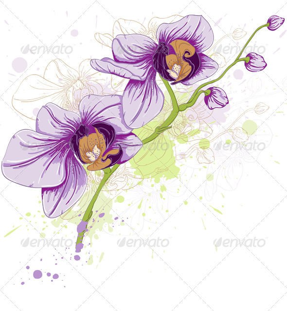 Floral Background with Orchids - Flowers & Plants Nature