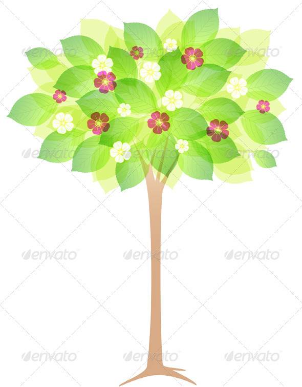Spring Flowering Tree - Flowers & Plants Nature