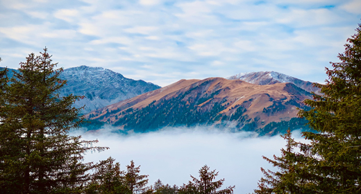 Indian Nature & Landscapes