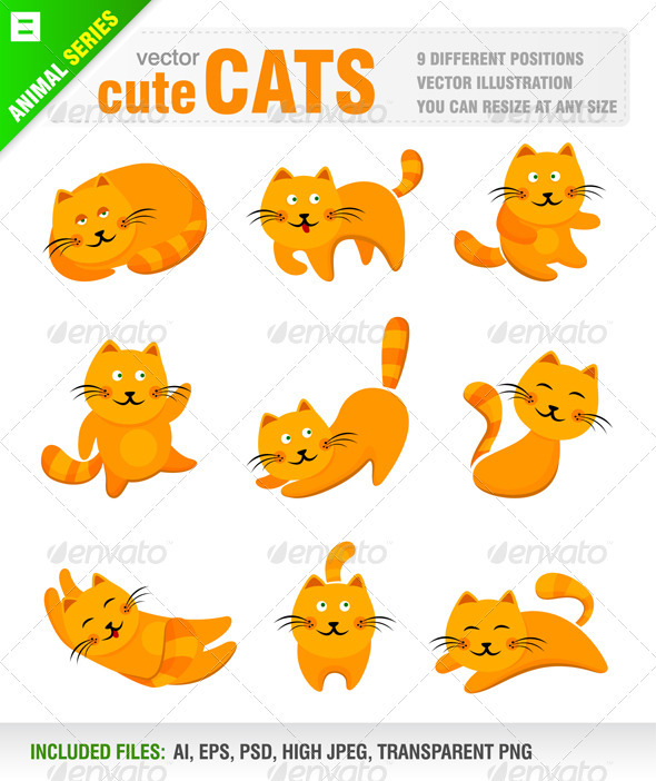 Cute Cats - Animals Characters
