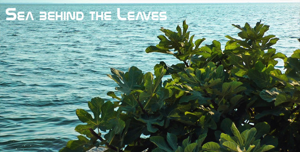 The Sea Behind The Leaves 2