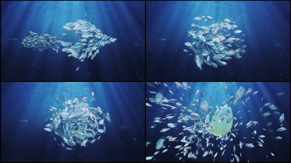Ocean/ Blue Sea Eco Fish Logo