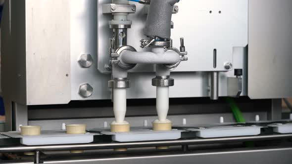 Filling of Wafer Cups with Ice Cream