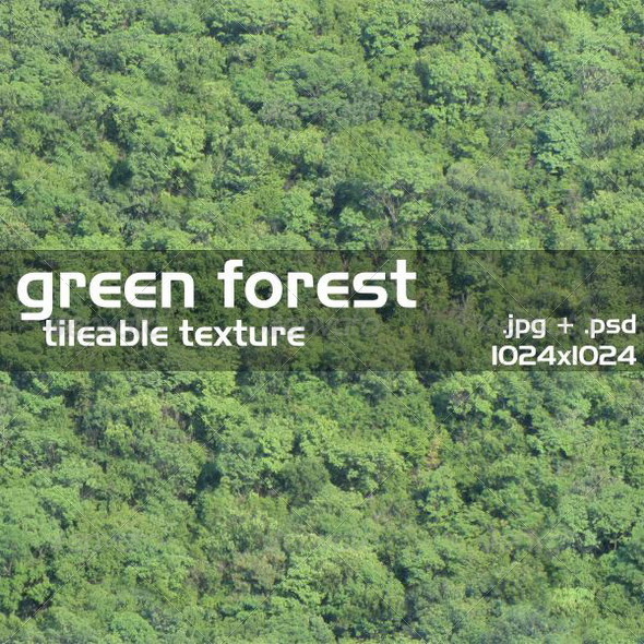 Green Forest Texture - 3Docean 2877371