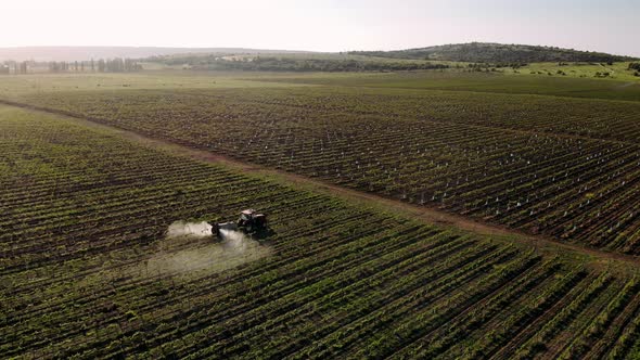 Spraying chemical insecticide or fertilizers, agricultural spring works. alt