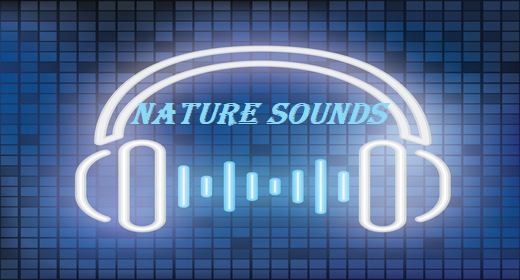 Nature Sounds