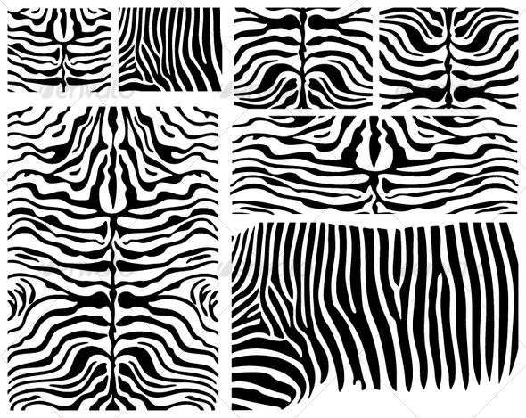 Vector Zebra Skin - Patterns Decorative