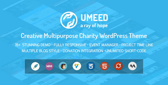 Umeed Charity WordPress - ThemeForest 12209245