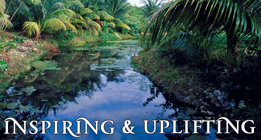 Inspiring & Uplifting