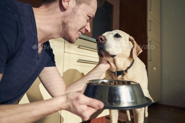 can dogs eat human food everyday