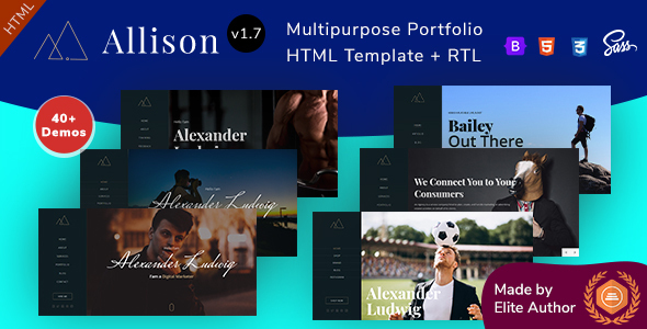 Allison - Creative - ThemeForest 25901383