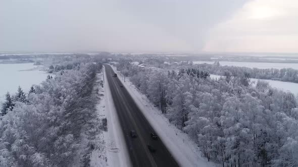 Road Through the Forest