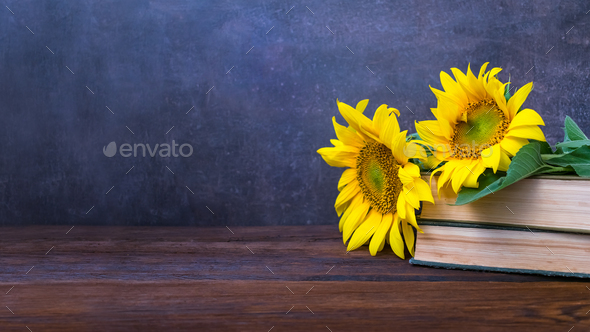 Vintage Old books and bouquet of sunflowers. Two books with bright yellow flowers. Retro nostalgic