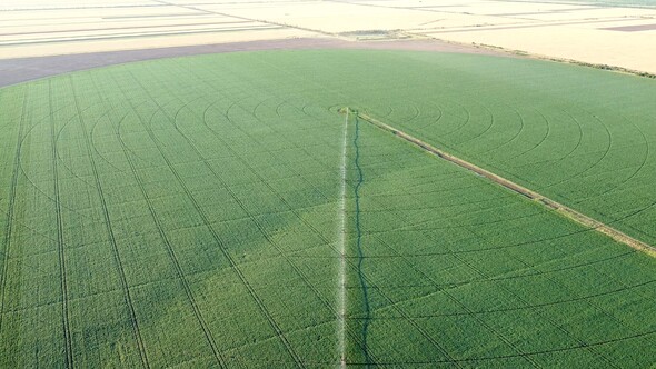 Aerial view drone shot of irrigation field alt