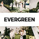 20 Evergreen Lightroom Presets & LUTs