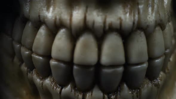 Human Skull In Metal Helmet alt