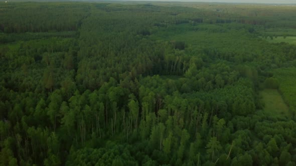 AERIAL with Flight Over Forest and Countryside Typical Polish Landscape alt