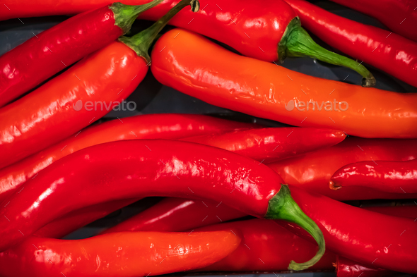 Ripe red chili peppers. Vegetables for Mexican dishes by Statuska