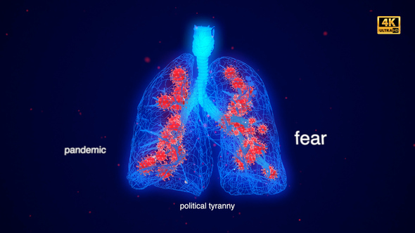 Covid 19 Lungs - VideoHive 31482386