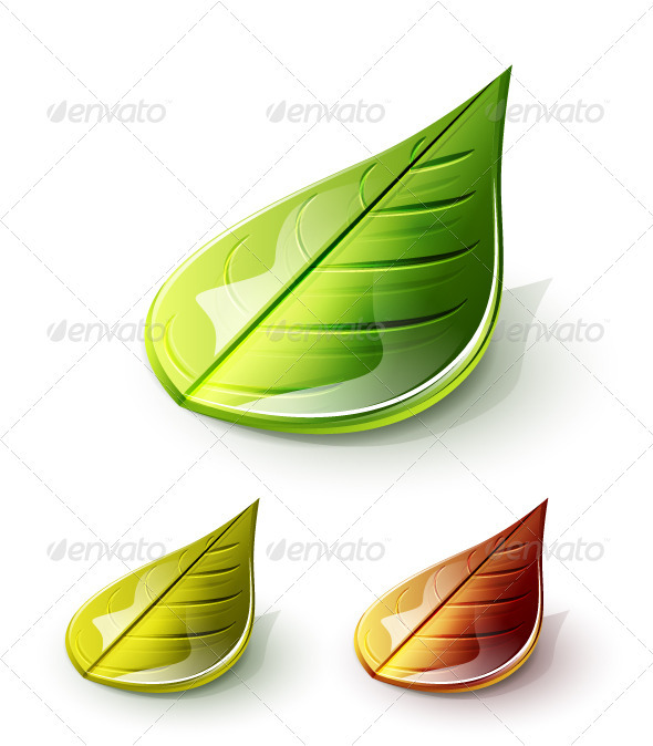 Glossy 3d Vector Leaves - Nature Conceptual