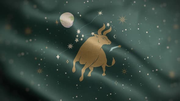 Taurus Zodiac Horoscope Video Flag Textured Background Front HD