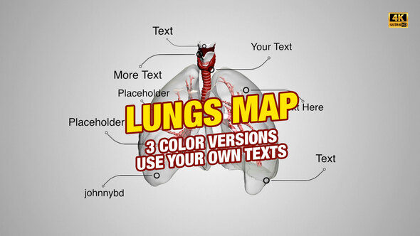 Lungs Map 4K