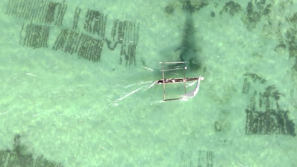 Tanzania Vertical Video  Boat Boats in the Ocean Near the Coast of Zanzibar Aerial View alt