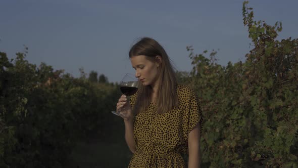 Beautiful Girl Tasting Red Wine At Vineyard