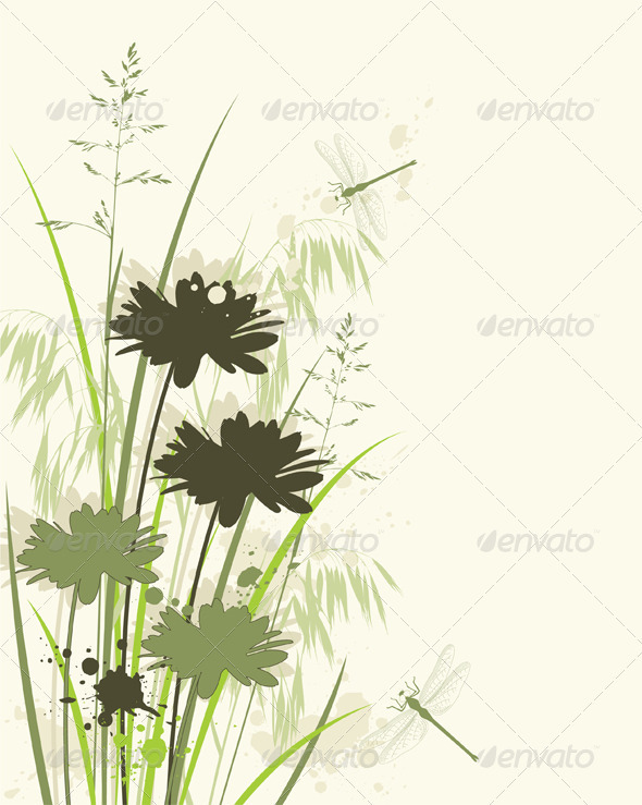 Floral Background with Chamomile - Flowers & Plants Nature