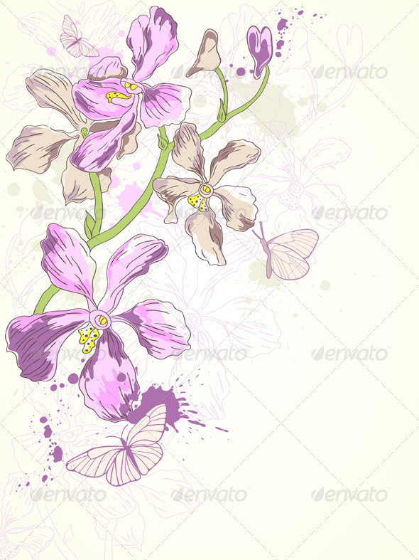 Background with Violet Orchids - Flowers & Plants Nature