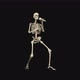 3D Skeleton - Rap Show