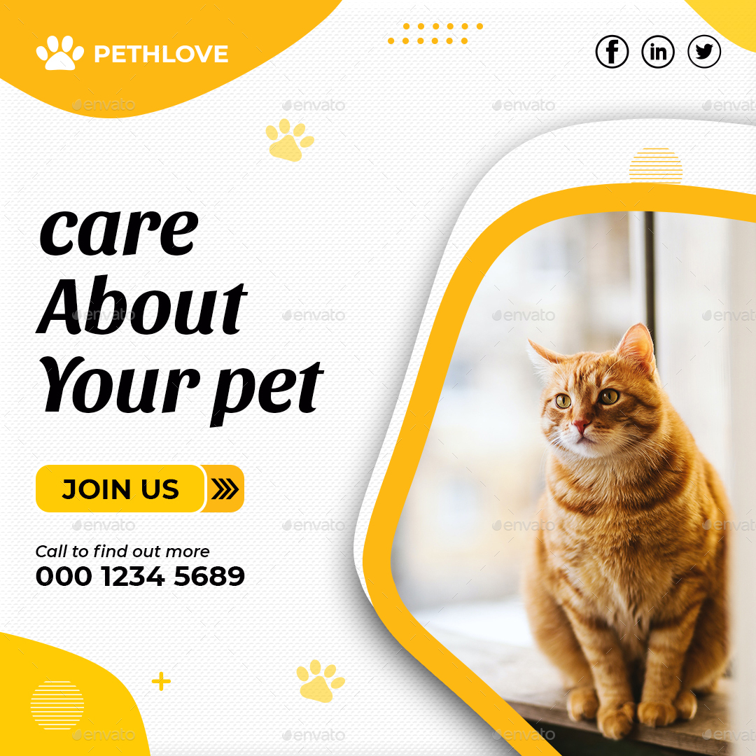 Pet Care Instagram Post Template by Creative_I_official | GraphicRiver