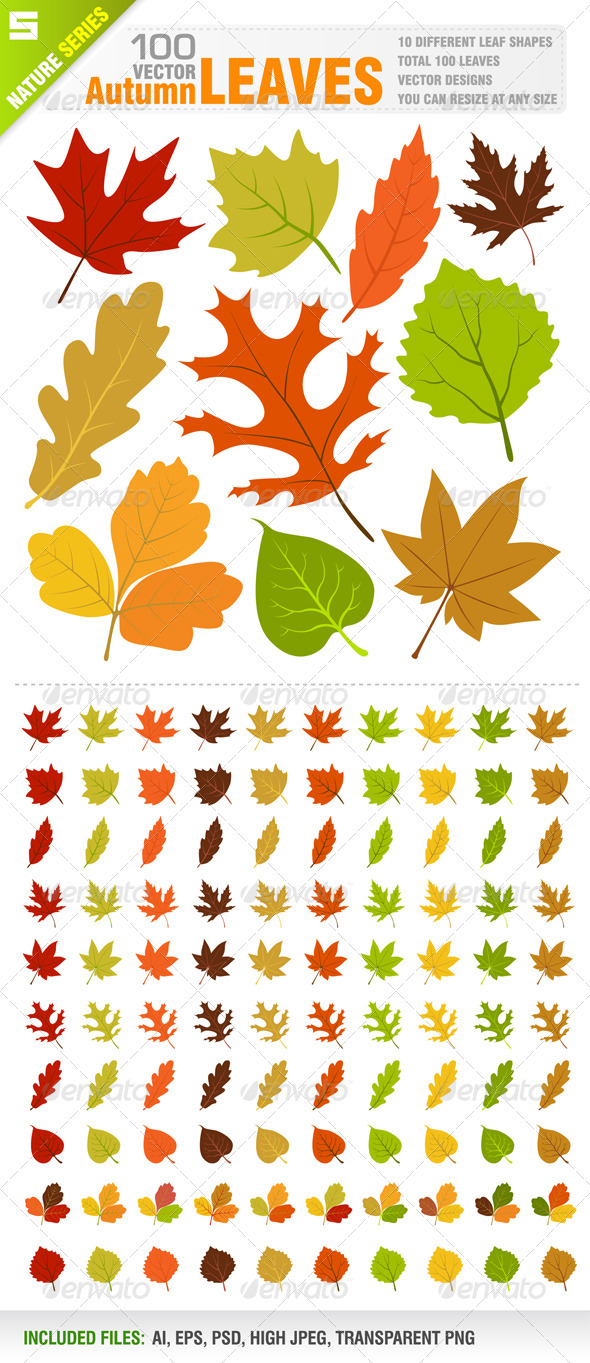100 Autumn Leaves - Flowers & Plants Nature
