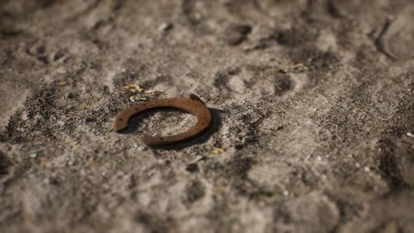 One Old Rusty Metal Horseshoe alt