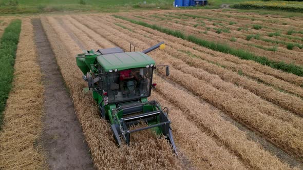 Slow Motion Aerial Shot of Modern Small Harvester Machine is Operating in the Field on Breeding alt
