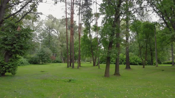 Aerial View in a Beautiful Park in St alt