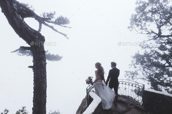 Wedding in a mysterious forest. Newlyweds walk in the fog, autumn mood