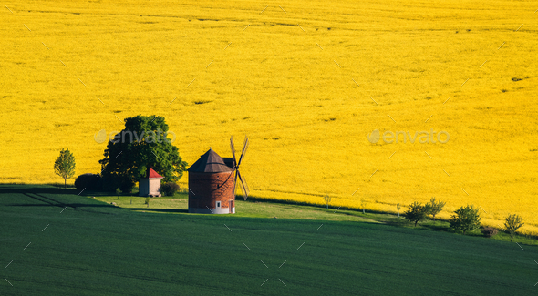 Wind mill in South Moravia landscape