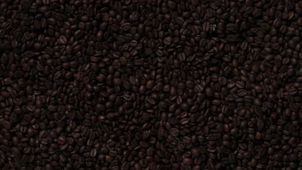 Mediumsized Coffee Seeds alt
