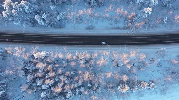 Several Cars Drive Down the Highway in the Middle of a Snowcovered Pine Forest on a Bright Sunny