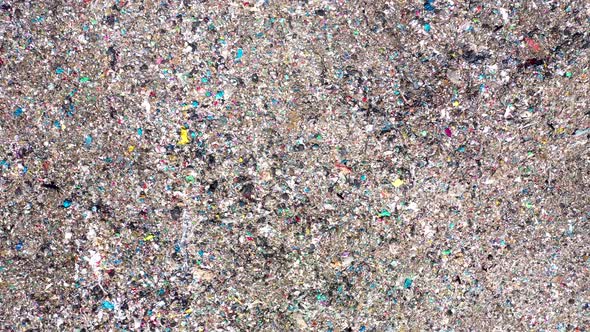 Jackdaws Over a Huge Landfill alt