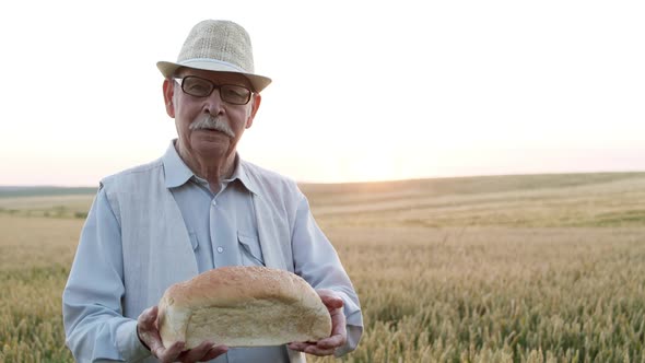 Senior Man Presents a Loaf of Bread and Talks with Smile at the Camera in Field alt