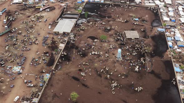 Africa Mali Village And Cattle Market Aerial View 3