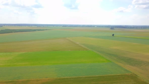 Beautiful Young Cereal Fields in  Aerial Footage alt