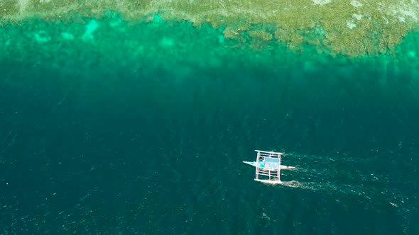 Coral Reef with Turquoise Water Moalboal Philippines alt