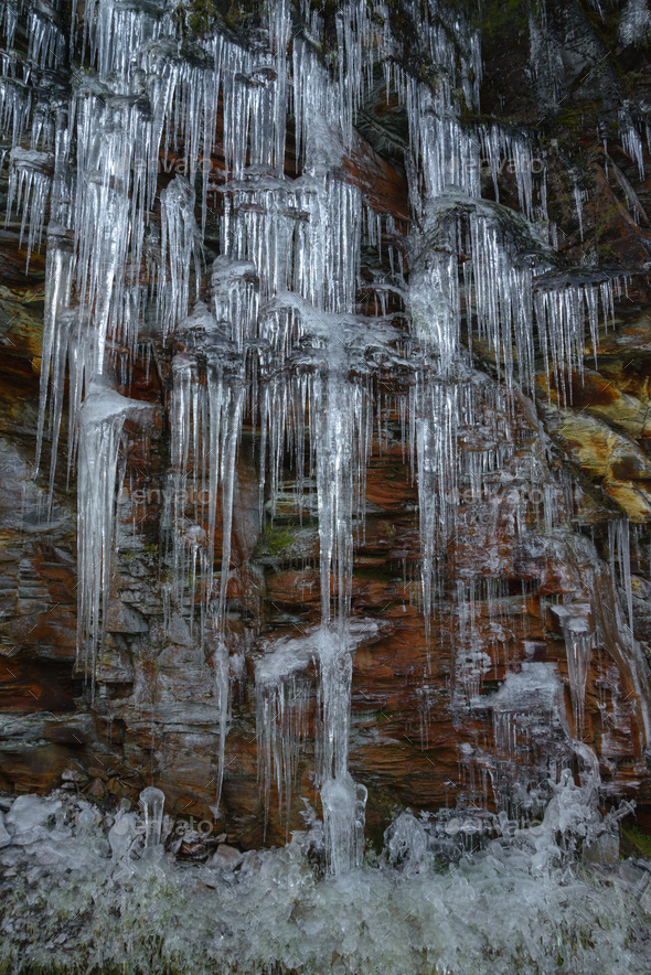 Abundance of icicles in a reddish slate cliff