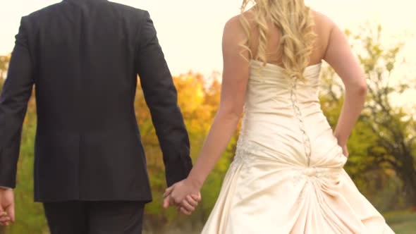 Rear View of Newlyweds Go Into the Distance Holding Hands on Sunny Day at Autumn Park. alt