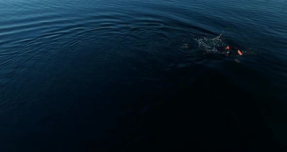 Aerial Triathlete In Wetsuit Swim Exercise In Sea. Aerial Swimmer Practicing Drone View. alt